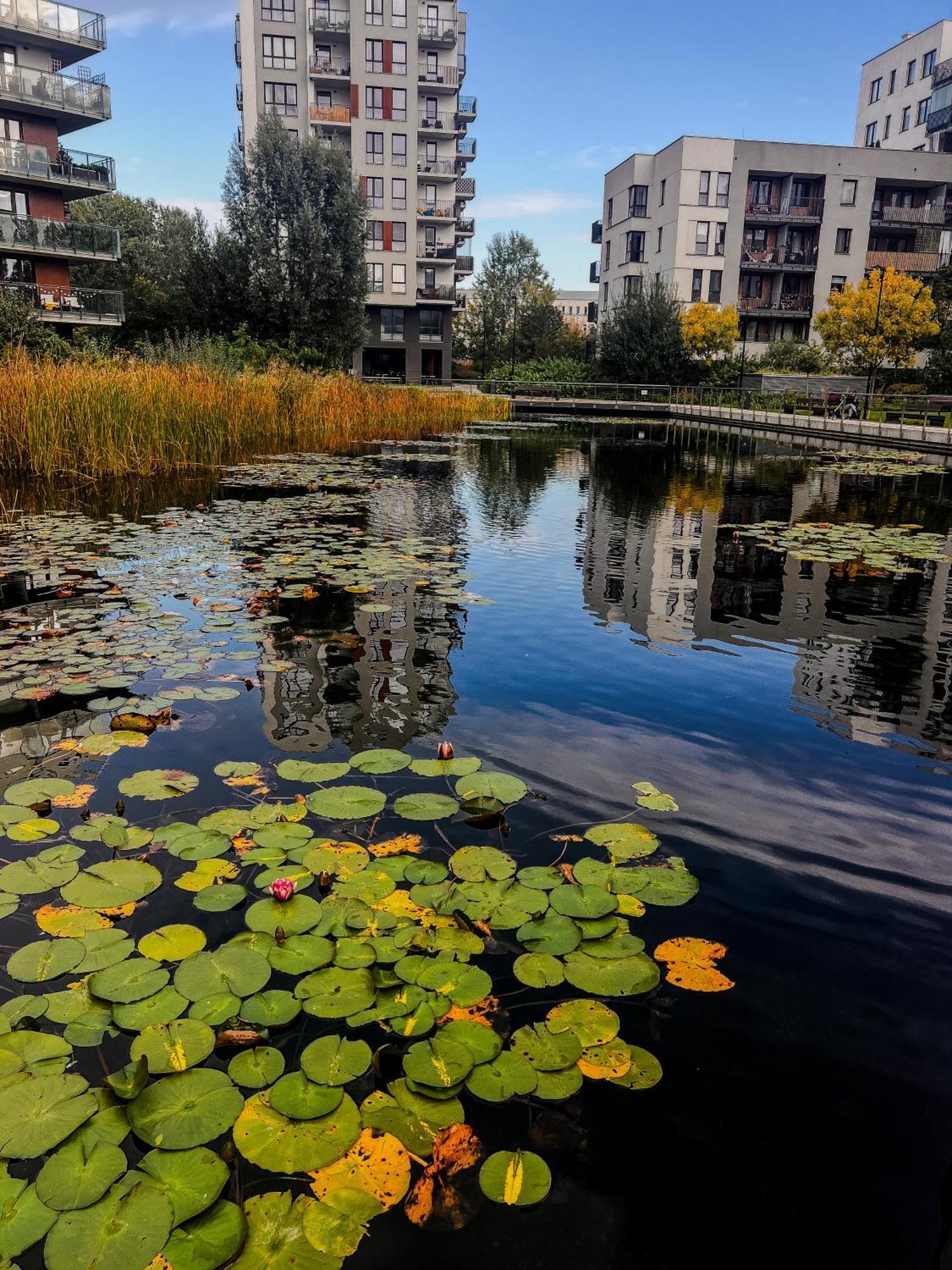 Lake Park Apartament With Free Parking Airport Netflix Lejlighed Warszawa Eksteriør billede